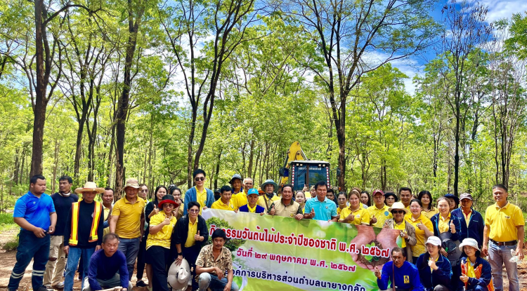 กิจกรรมวันต้นไม้ประจำปีของชาติ พ.ศ. 2567